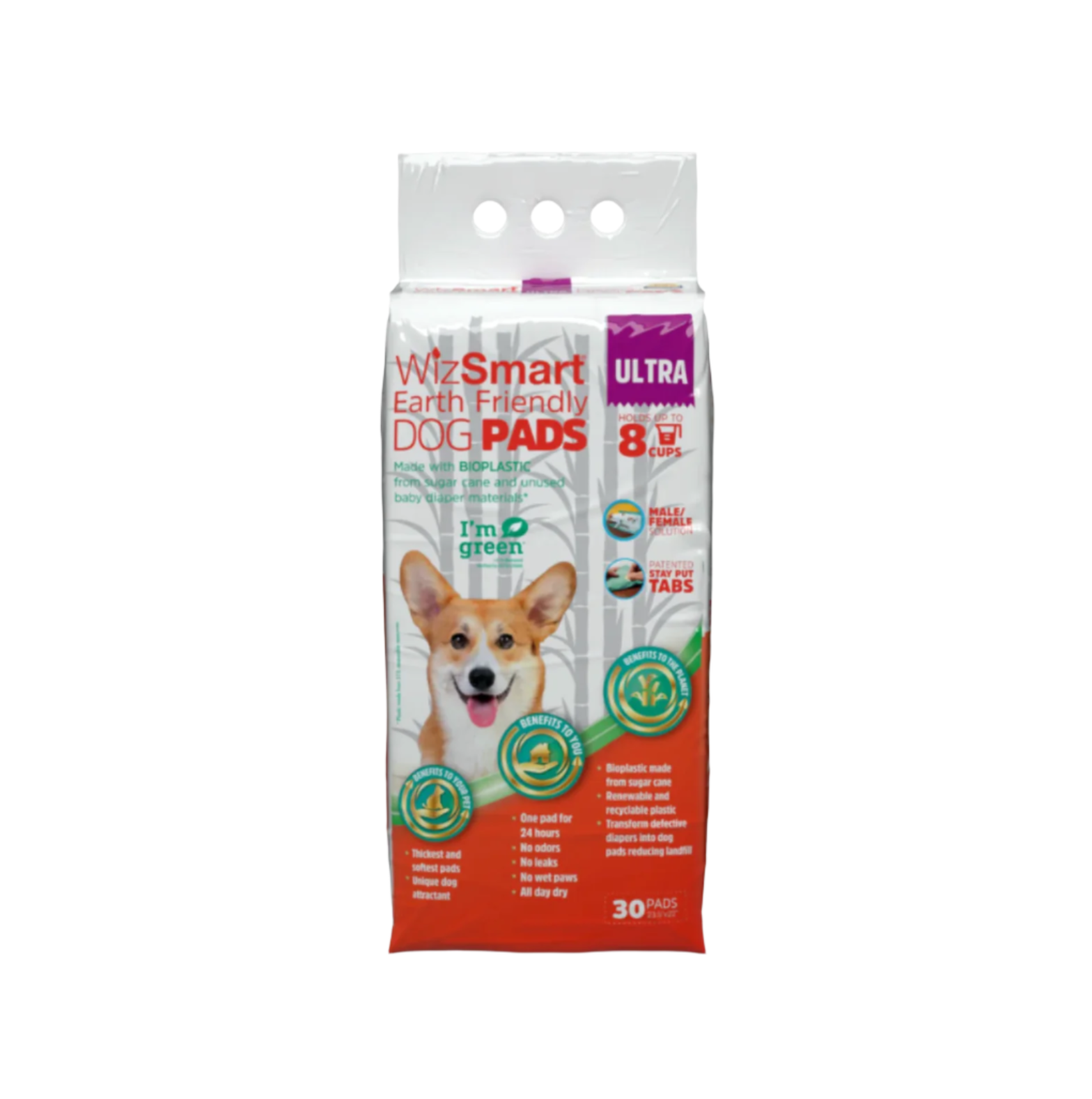 WizSmart | Earth Friendly Dog Pad