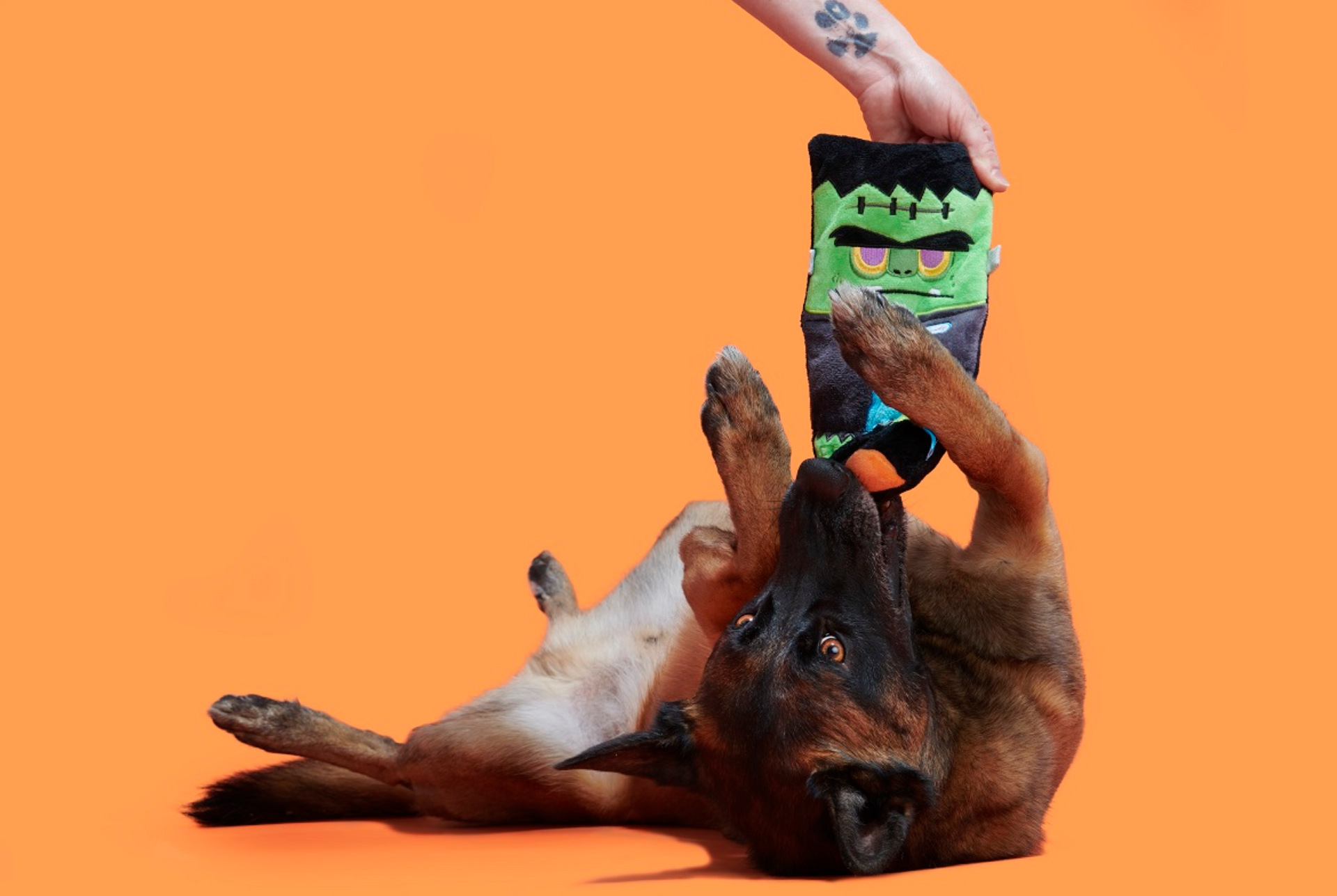 BARK | Cranky Frankie Toy