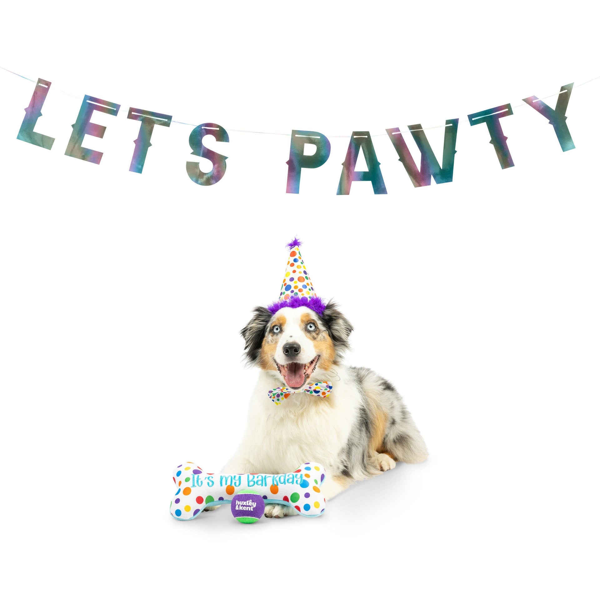 Let's Pawty Iridescent Celebration Banner