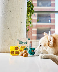 Woof | Treat Mix | Balanced Belly