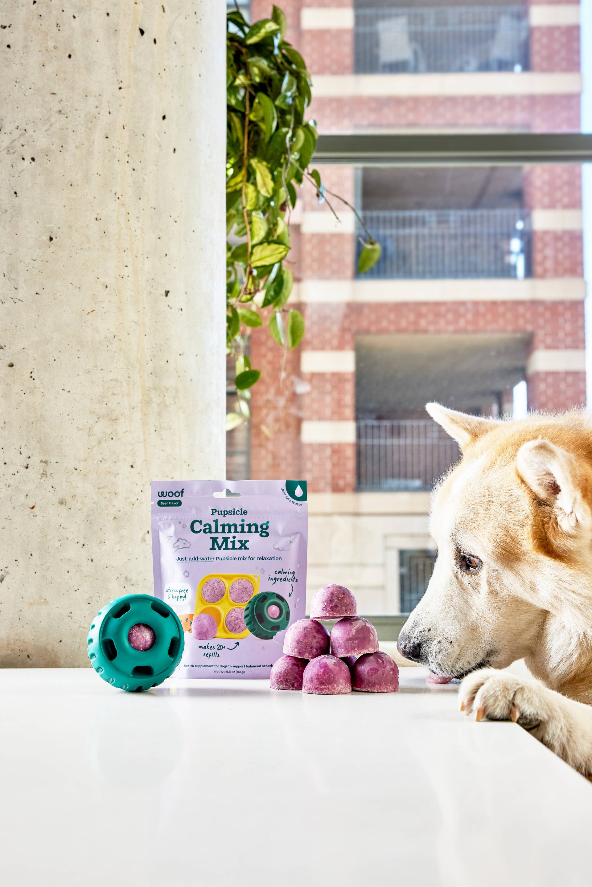 Woof | Treat Mix | Calming