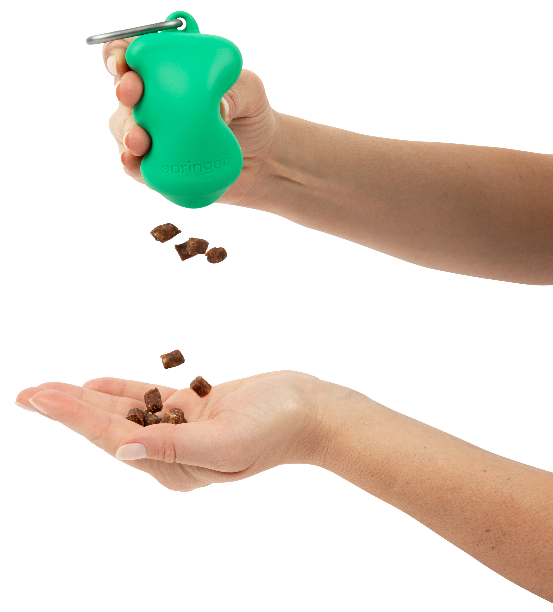 Springer Pets | Silicone Treat Pouch | Green