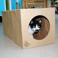 Dezi & Roo | Hide and Sneak Tunnel