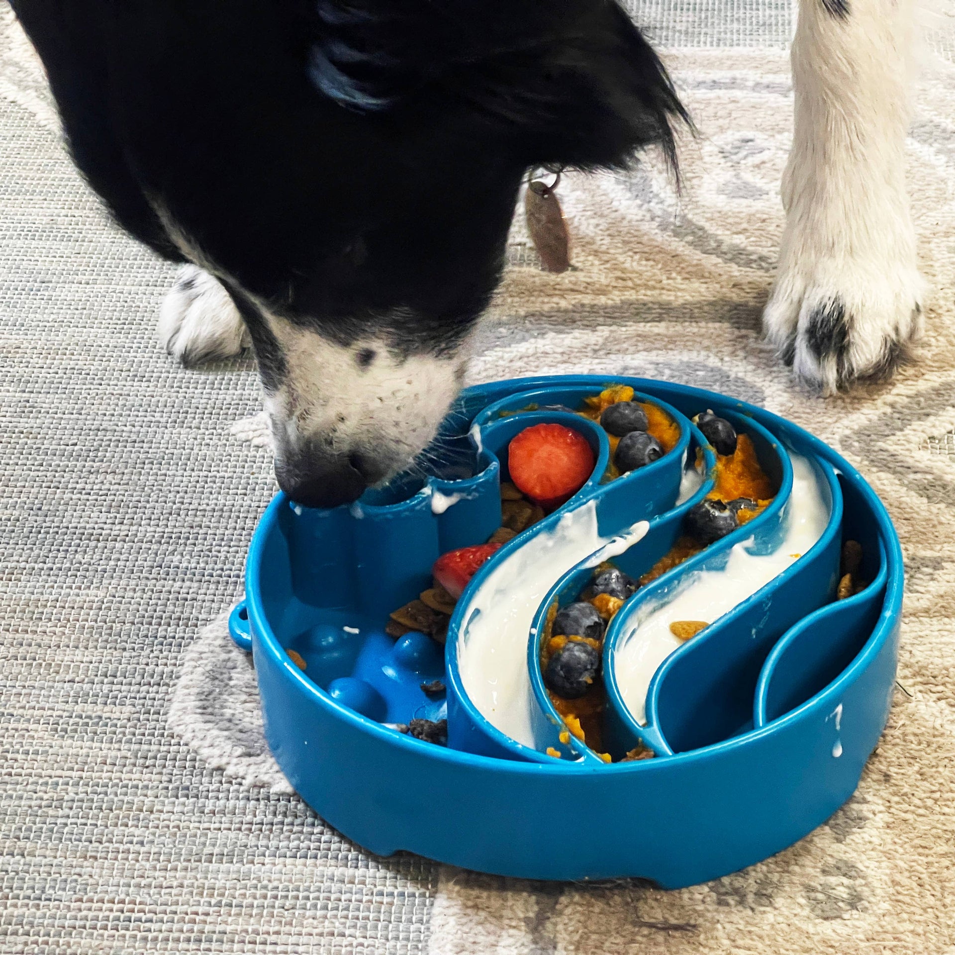 SodaPup - Wave Design eBowl Enrichment Slow Feeder Bowl for Dogs