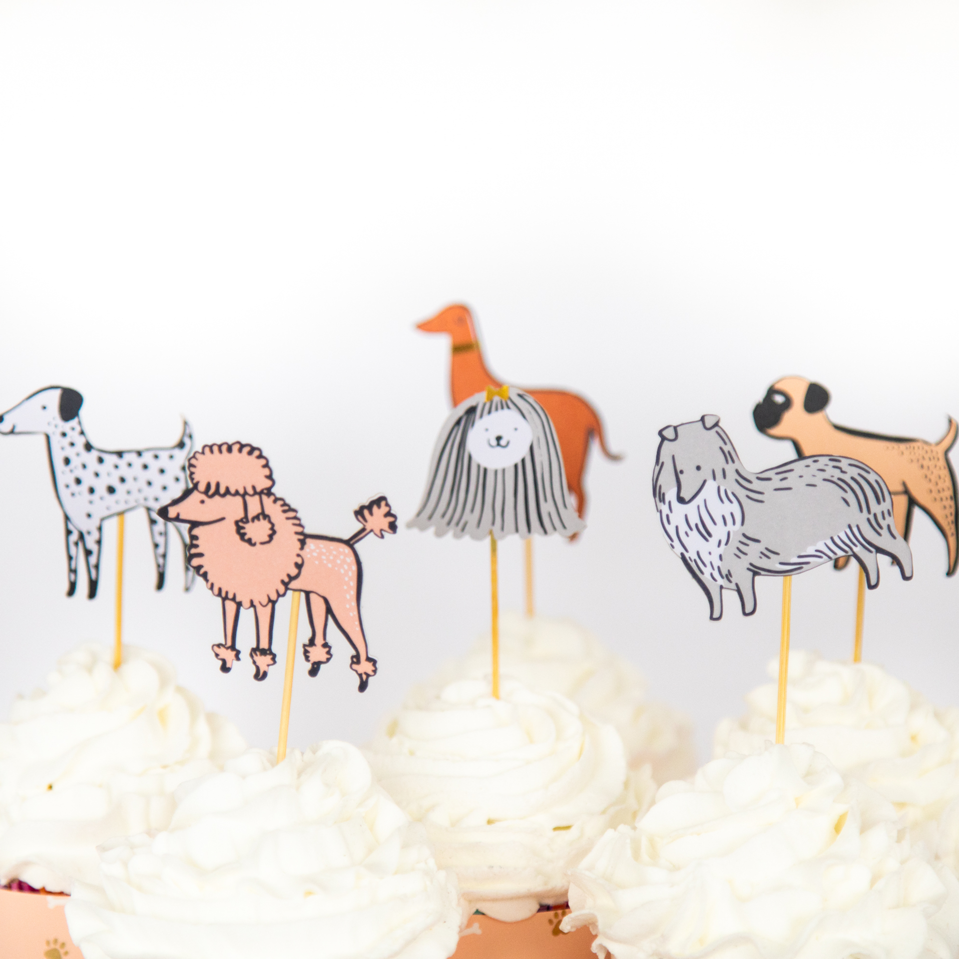 Jollity & Co. | Bow Wow Cupcake Decorating Set