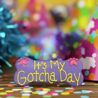 Fetch! Treats | 6" Dog Cookie | It's My Gotcha Day (colors vary)