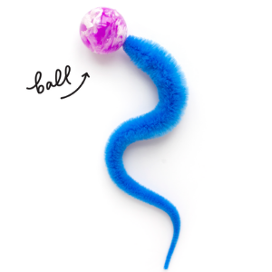Dezi & Roo | Wiggly Ball