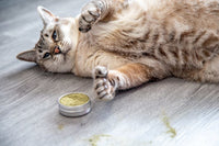 Catnip Keef 2oz