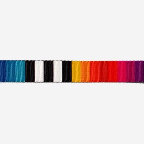 Prisma | Cat Harness with Leash
