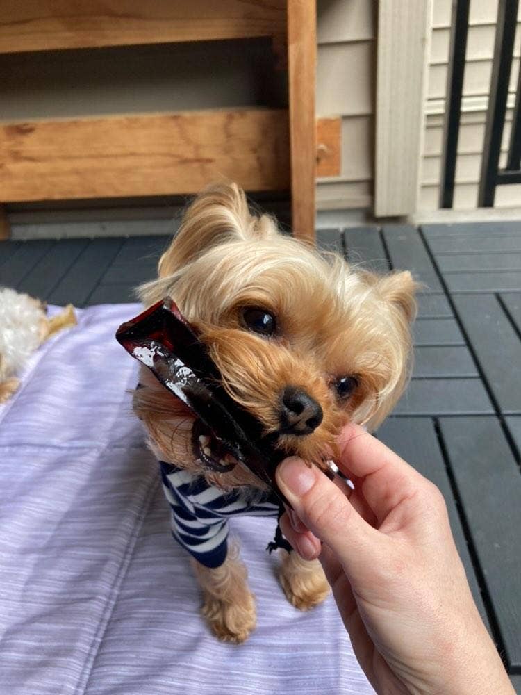 Mighty Marrows Dental Chew | Bacon
