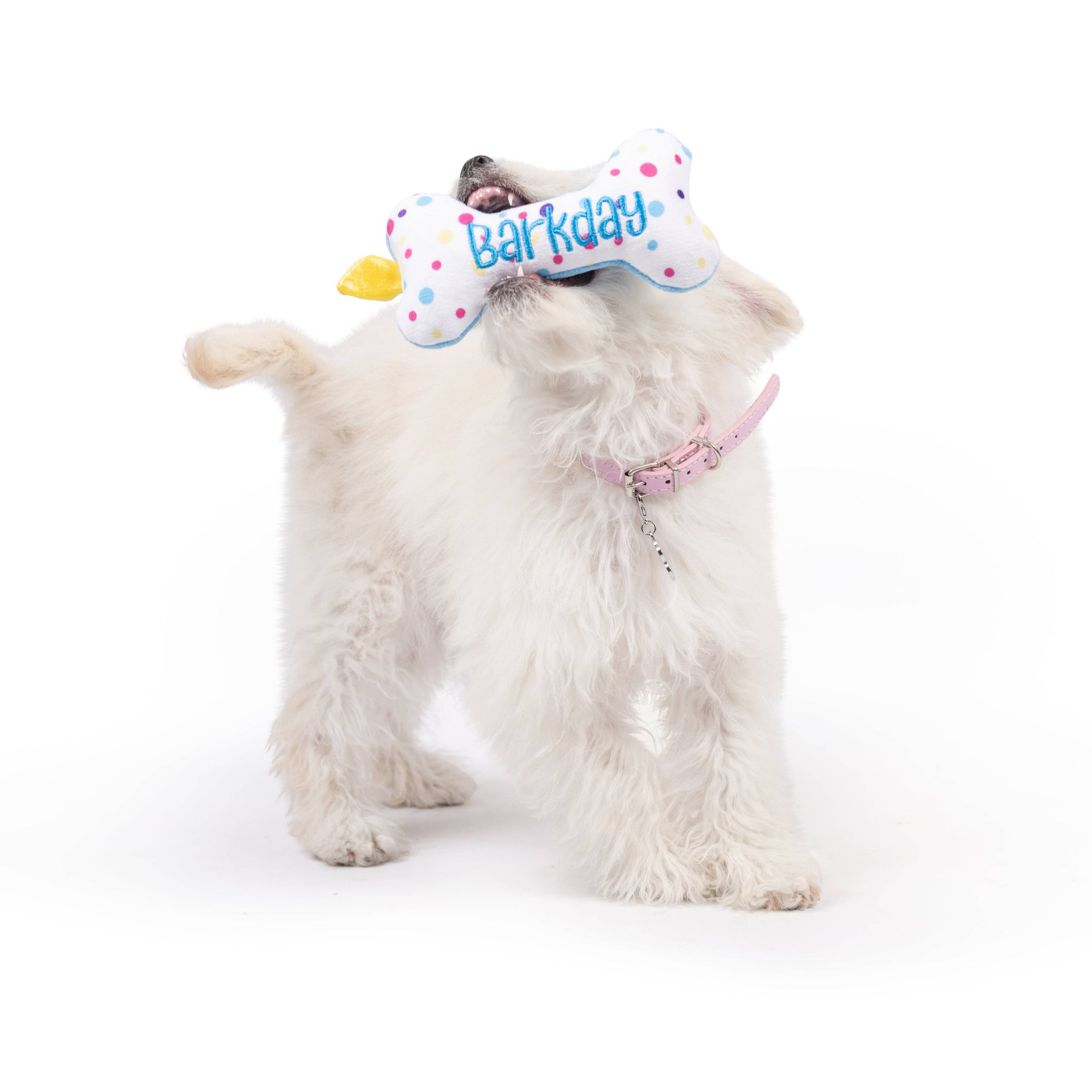 Tiny Tuff It's My Barkday Bone