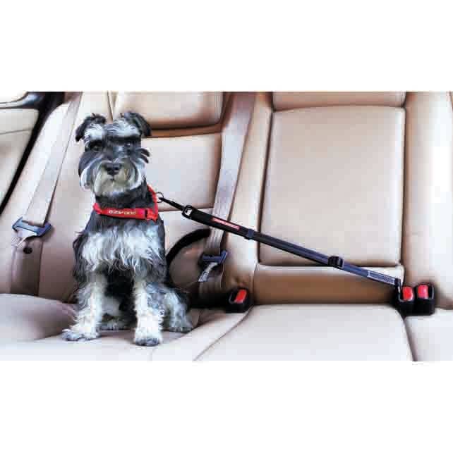EzyDog | Car Restraint | Click Adjustable