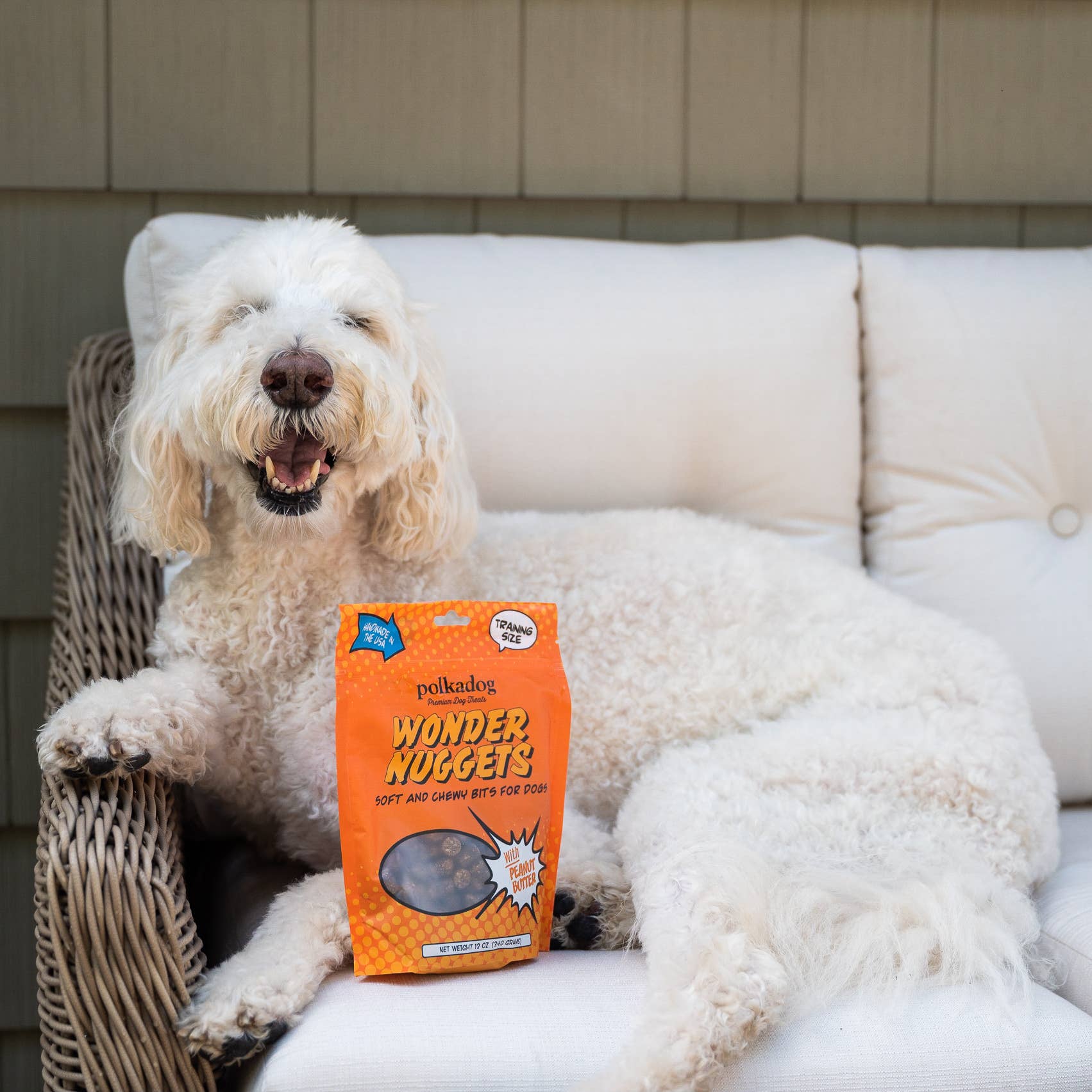 Polkadog | Wonder Nuggets | Peanut Butter