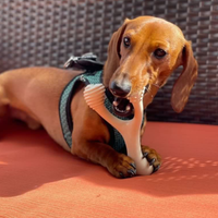 BetterBone | HARD Strength