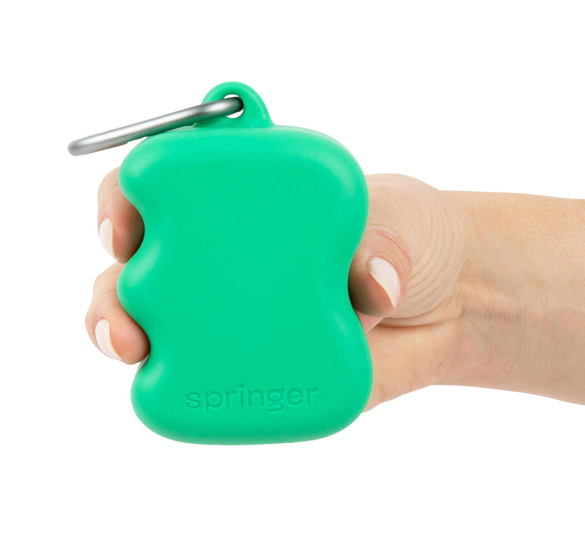 Springer Pets | Silicone Treat Pouch | Green