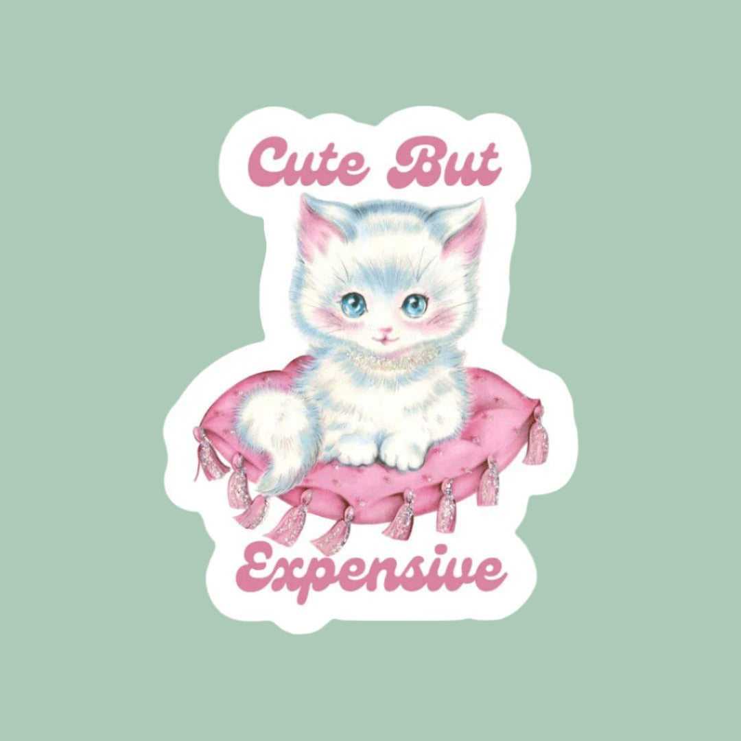Cute But Expensive Cat Sticker