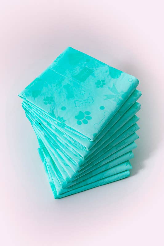 WizSmart | Earth Friendly Dog Pad