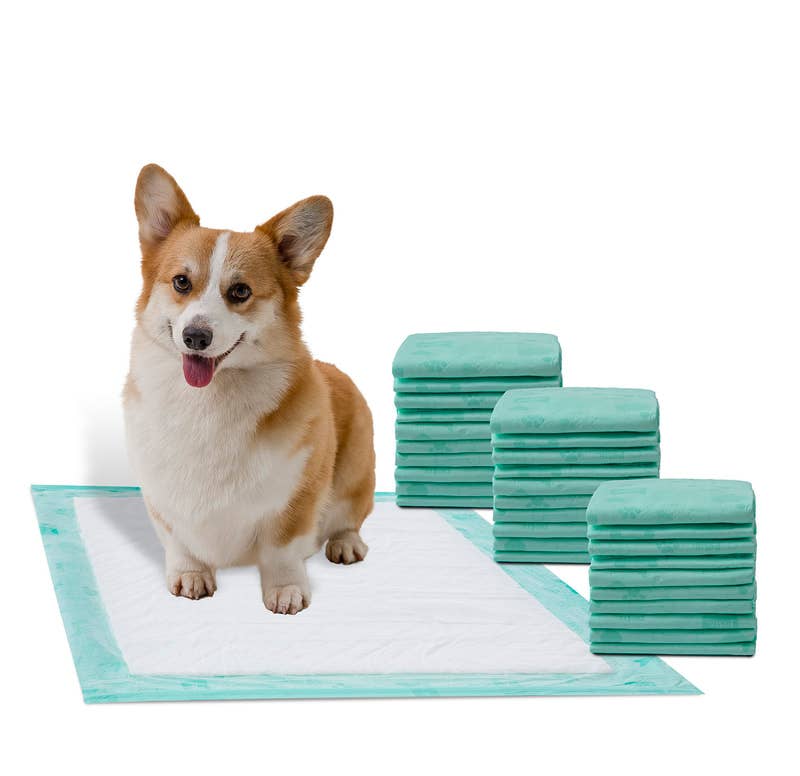 WizSmart | Earth Friendly Dog Pad