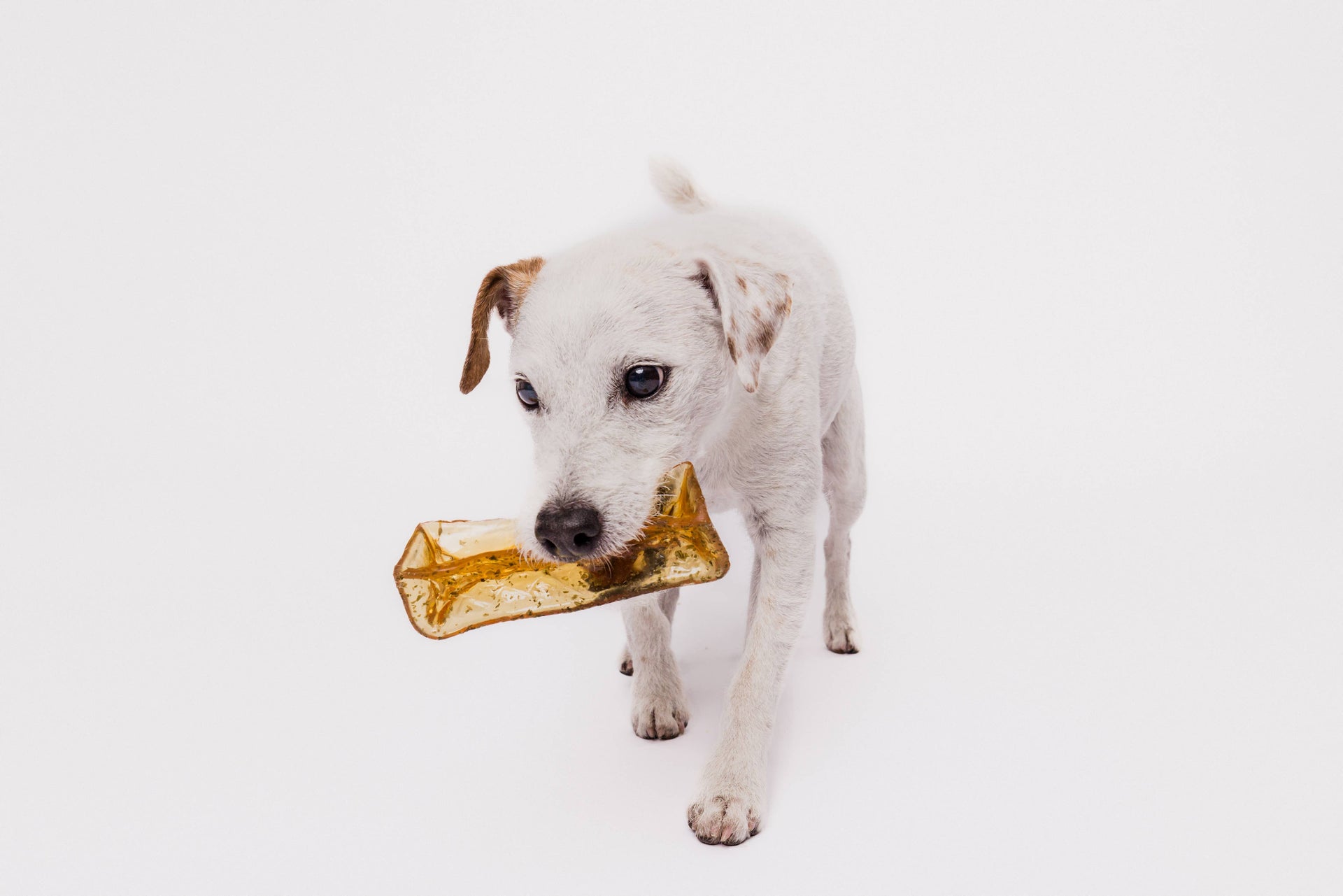 Mighty Marrows Dental Chew | Pork & Parsley