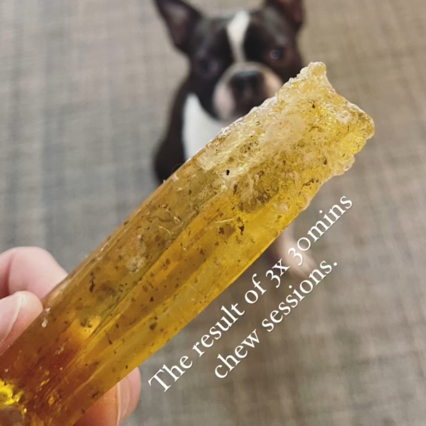 Mighty Marrows Dental Chew | Pork & Parsley