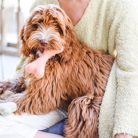 Awoo | Wool Bone | Aqua