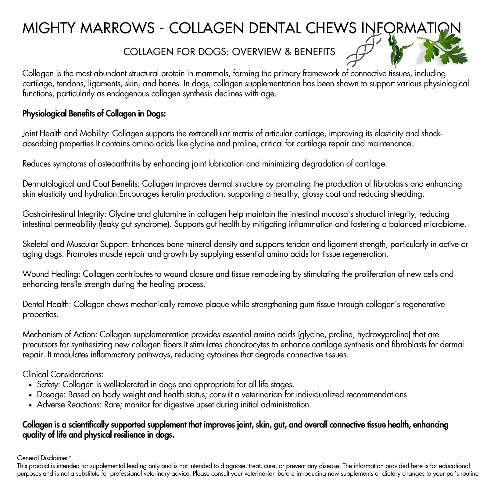 Mighty Marrows Dental Chew | Pork & Parsley