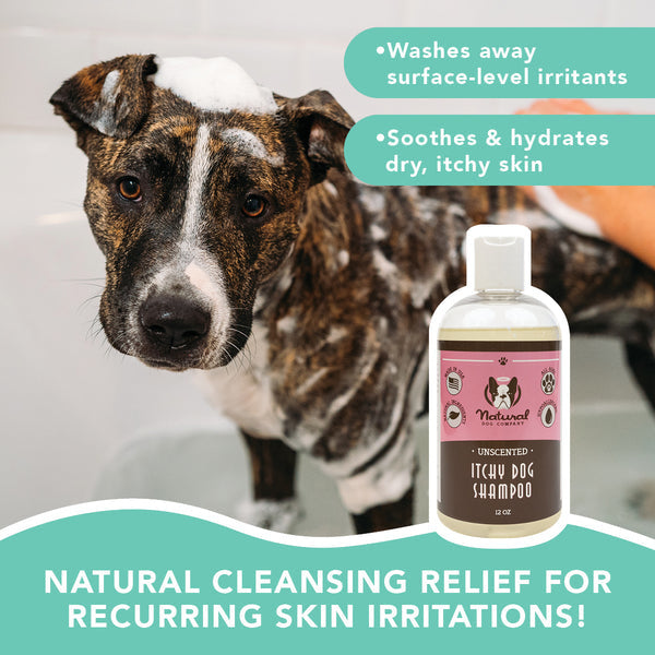 Natural Dog Co. | Shampoo | Itchy Dog