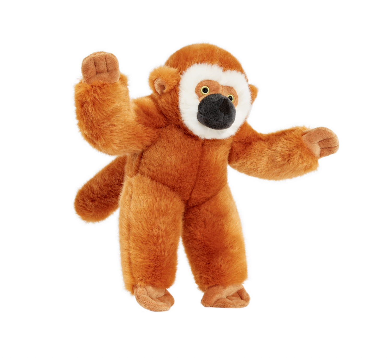 Fluff & Tuff | Marcel Monkey