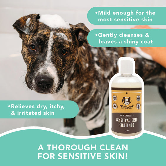 Natural Dog Co. | Shampoo | Sensitive Skin