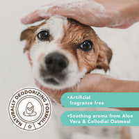 Natural Dog Co. | Shampoo | Sensitive Skin
