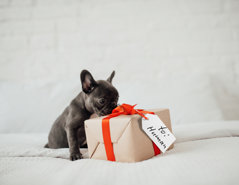 Gifts for Humans