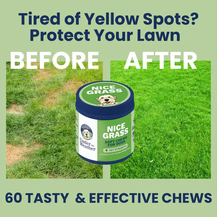 Under the Weather Nice Grass Soft Chew supplement container showing product label and packaging details for dogs.