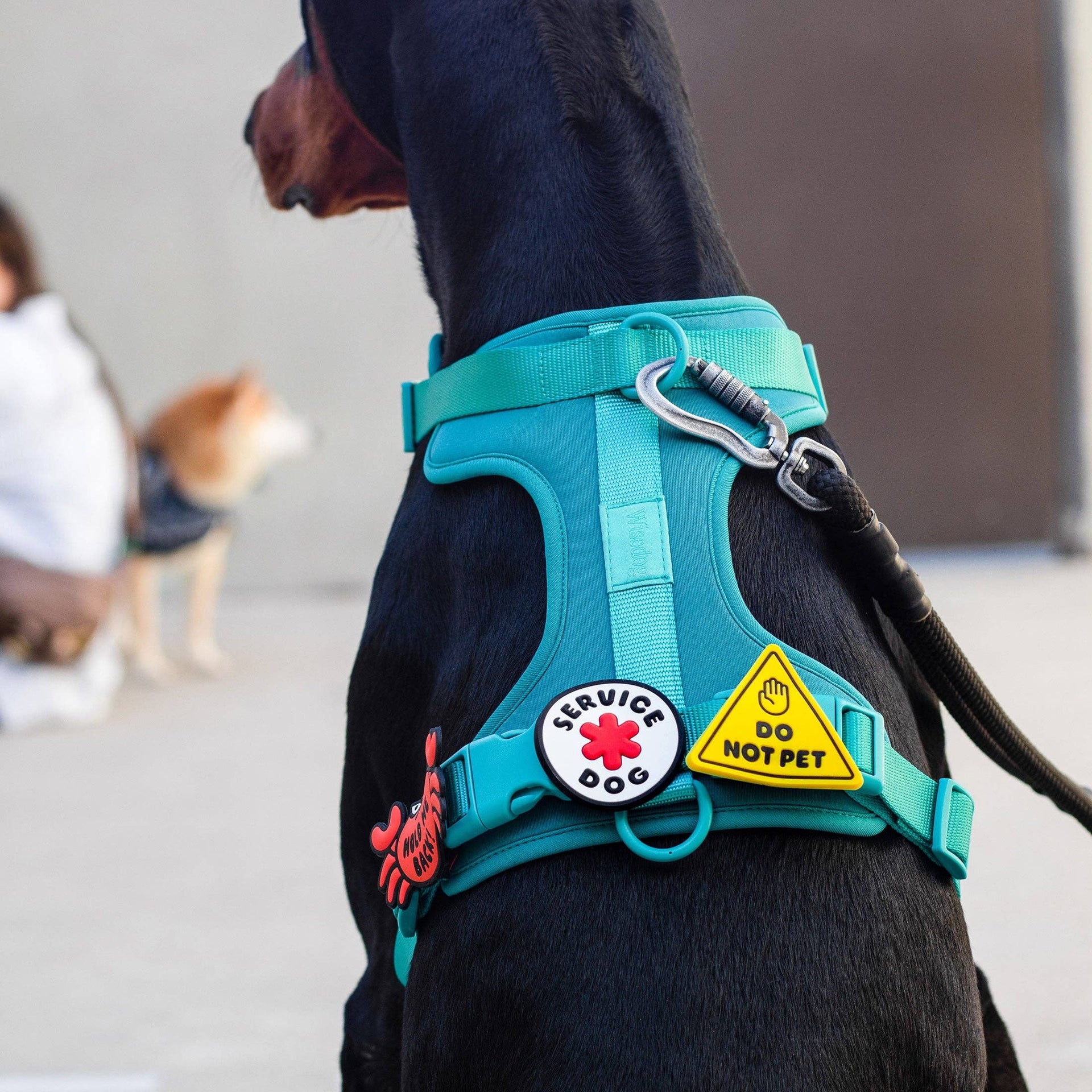 Jiby Dog Crew Service Dog charm shown styled or worn, highlighting its recognizable service dog design detail.