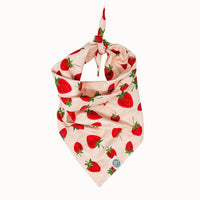 Berry Dog Bandana | Strawberry Fruit Pink Pet Accessory