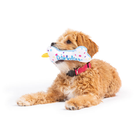 Huxley & Kent Tiny Tuff It's My Barkday Bone plush dog toy showing detailed birthday-themed text and colorful design elements.
