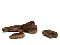 West Paw | Air-Dried Bison Lung