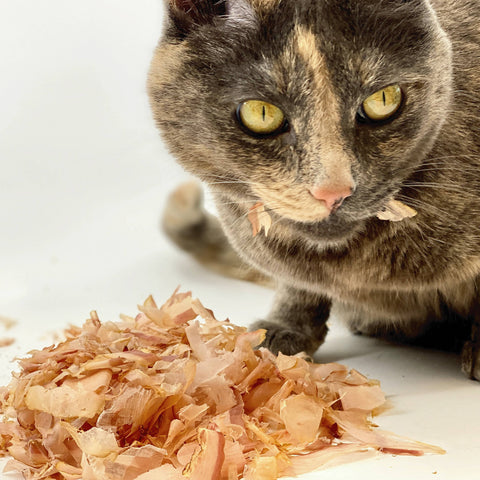 Presidio Pet Cat Sushi Bonito Flakes being sprinkled over cat food as a nutritious meal topper.