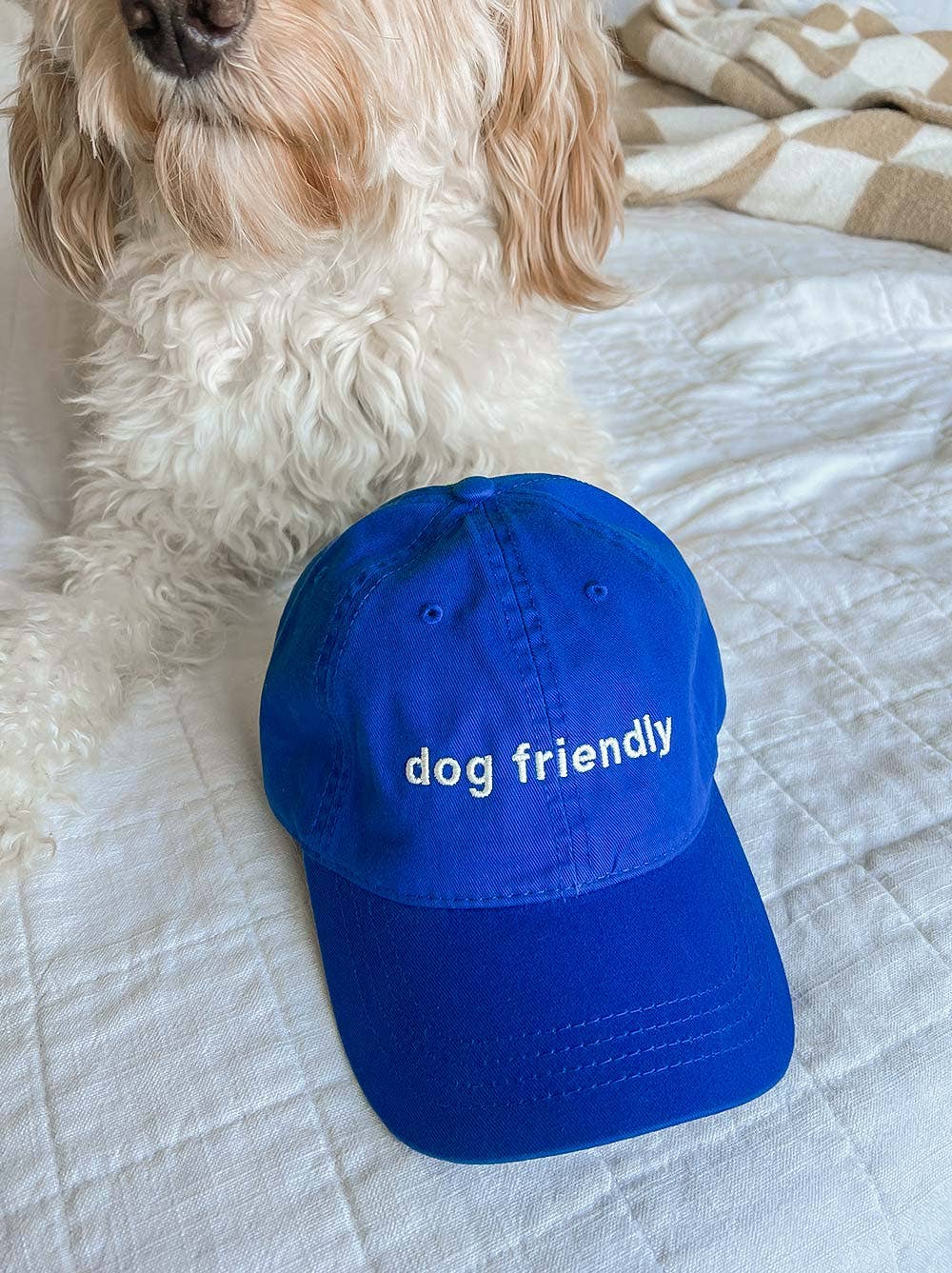 Hat | Dog Friendly