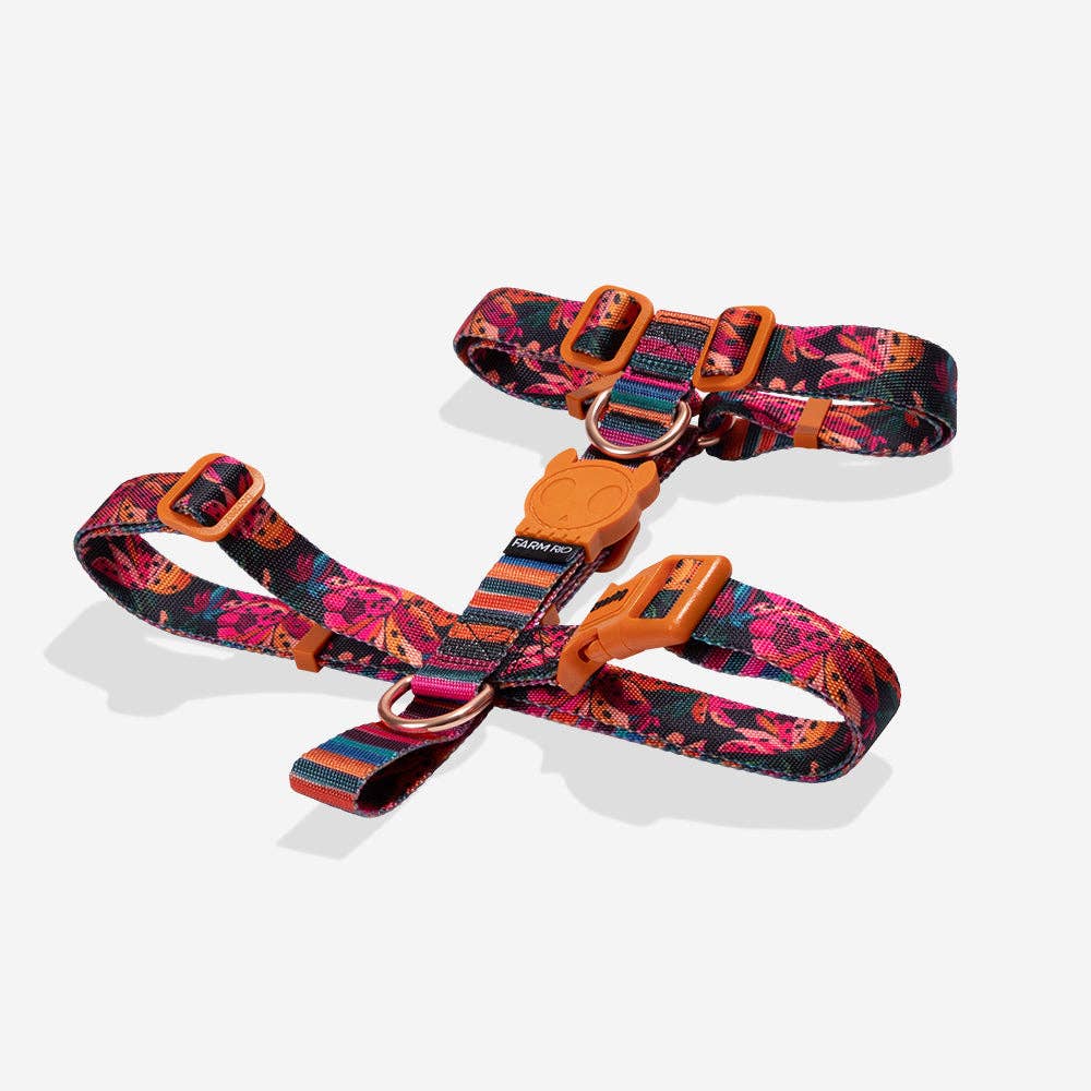 Zee.Dog | H Harness | Selva