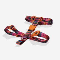 Zee.Dog | H Harness | Selva