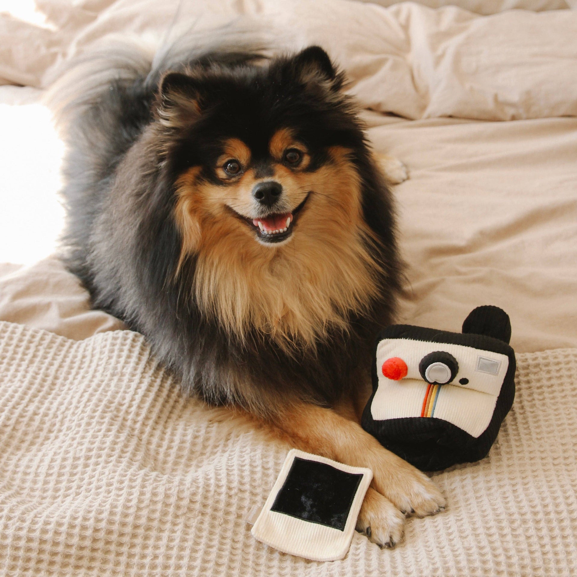 Lambwolf Collective Instant Camera enrichment toy being played with by a dog during interactive treat time