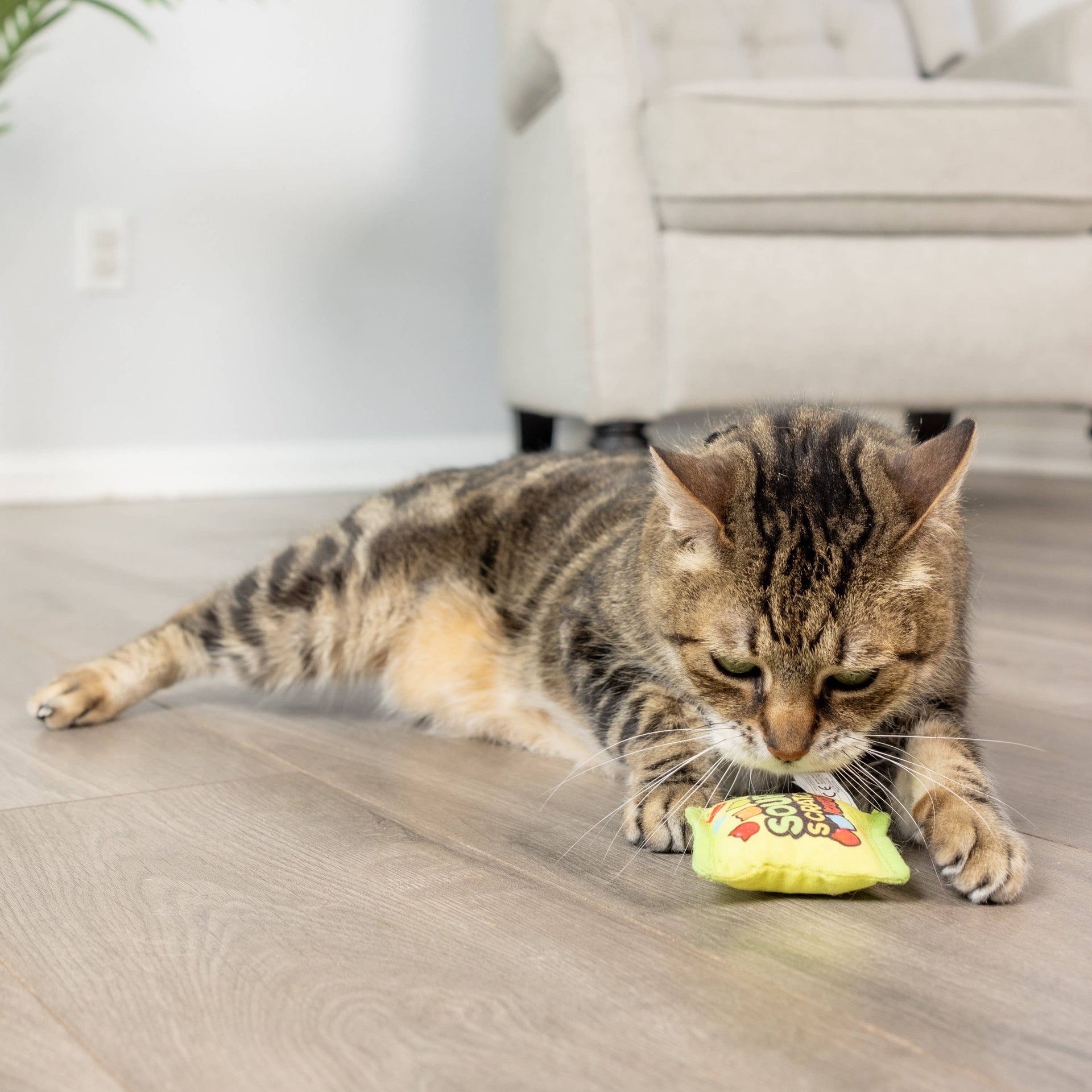 Huxley & Kent Sour Scratch Kats candy-inspired cat toy showing detailed texture and construction features.