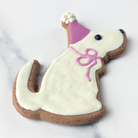 Dog Birthday Treat | Purple Dog Birthday Party Hat Dog Treat