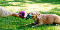 ZippyPaws | Crinkle Crops Radish