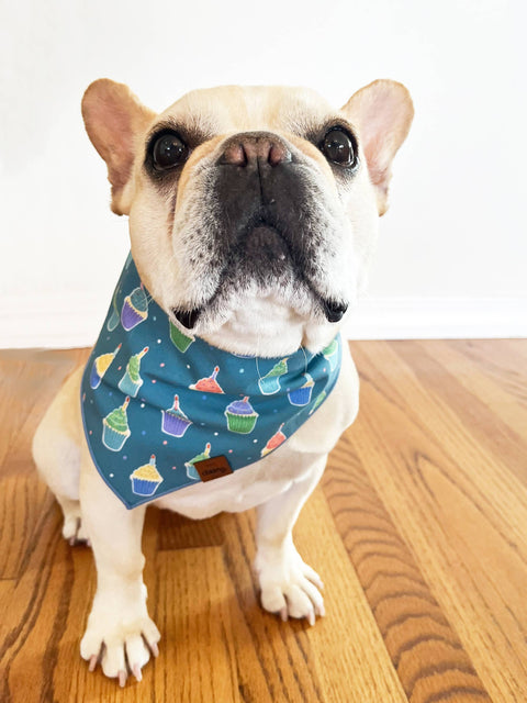 Pupcakes Bandana - Teal