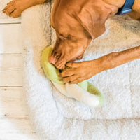 Awoo | Wool Link | Ombre