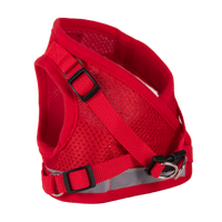 Travel Cat True Adventurer Harness shown on cat during outdoor adventure, demonstrating secure fit and leash attachment.