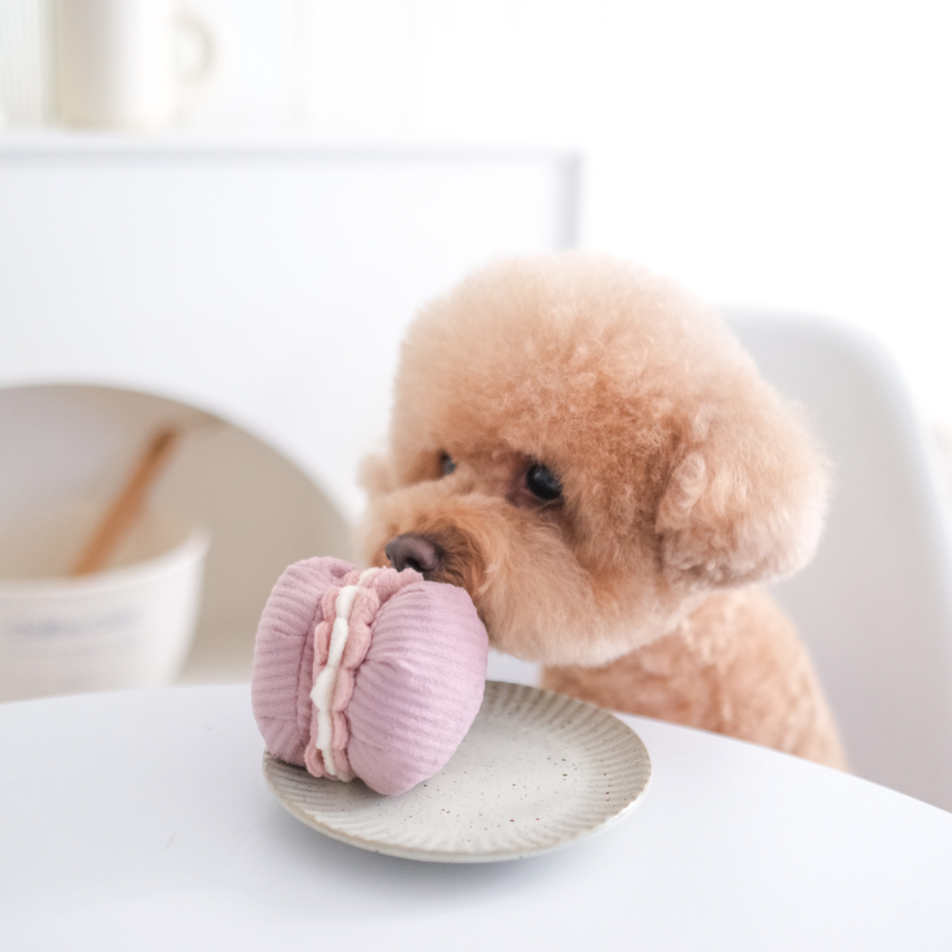 Lambwolf Collective Petite Two enrichment toy set showing French pastry-inspired madeleine and croissant dog toys with snuffle textures.