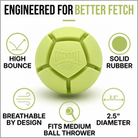 A dog playing fetch with the Docaball Natural Rubber Ball in Key Lime Pie green outdoors.