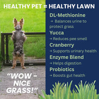 Under the Weather Nice Grass soft chews scattered on grass showing natural supplement for dogs' urinary health.